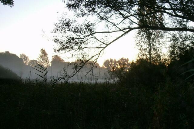 Das Licht wird immer wärmer und heller ...