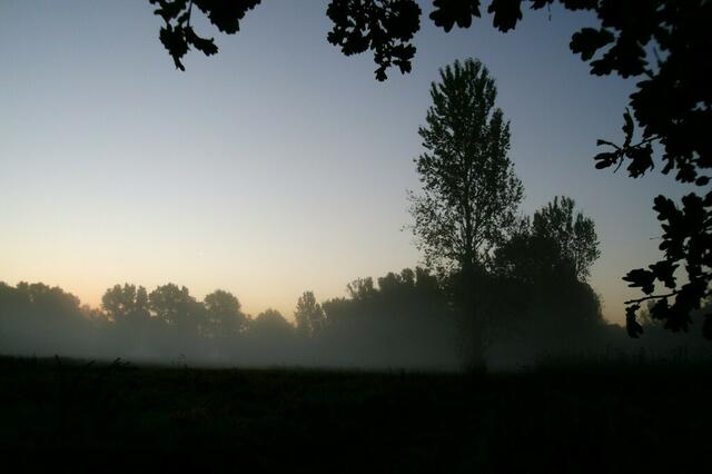 Das einzige Geräusch ist ab und zu ein feines Klacken ... Eicheln die reif und schwer zu Boden fallen ...