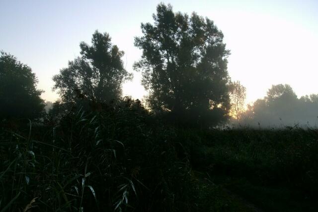 Die Sonne kommt langsam hervor ...
