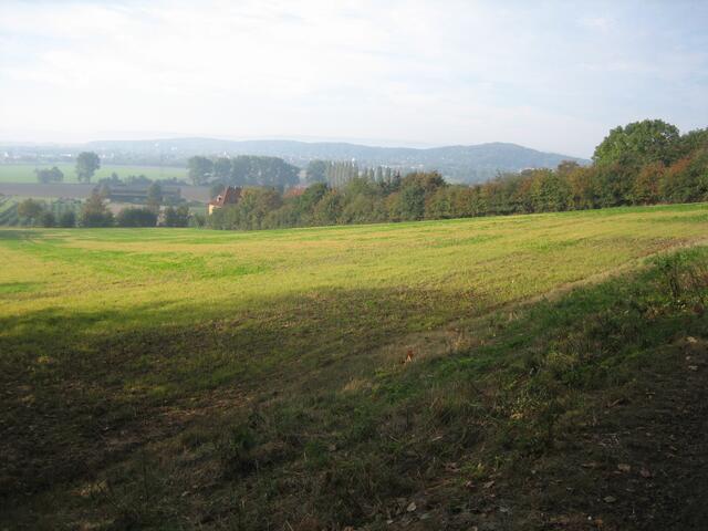 Am Benther Berg