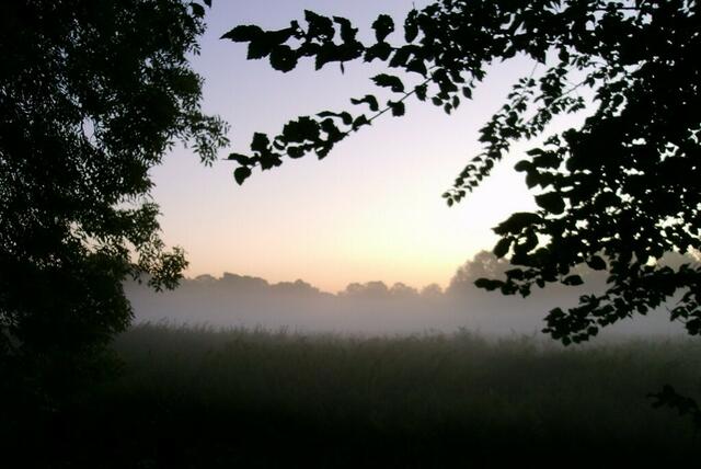 Diffuses Licht dringt durch die Nebelschleier ...