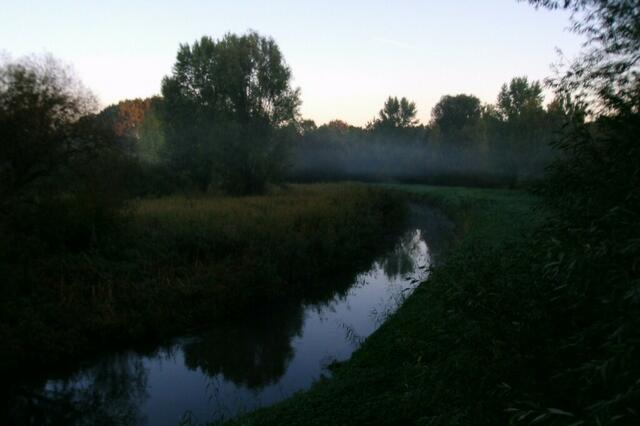 Erste Vögel stimmen ihre Gesänge an, um den TAg über dem Moor zu begrüßen ...