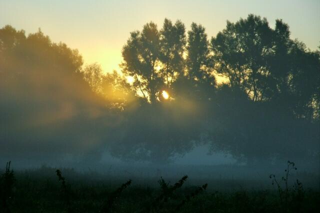 ... taucht die ganze Moorlandschaft in Gold ...
