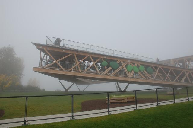 Aussichtsbauwerk der Landesforsten Rheinland-Pfalz