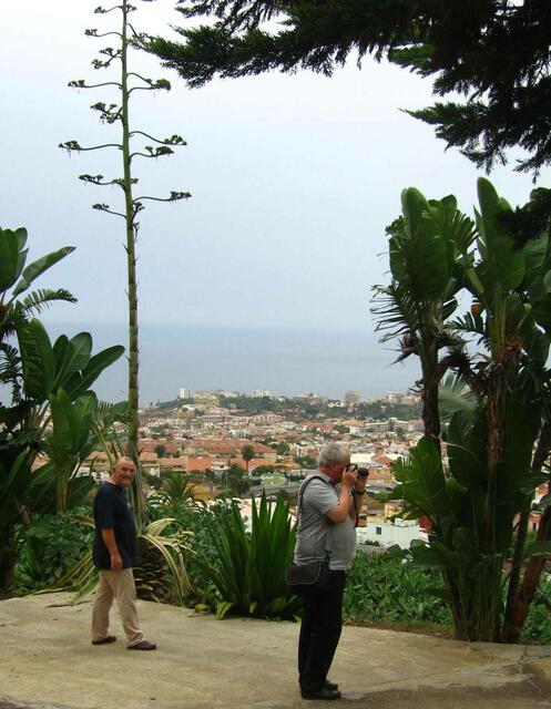 Blick auf Puerto de la Cruz