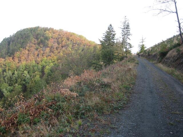An der 11 km Strecke