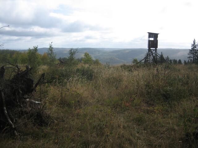 An der Strecke