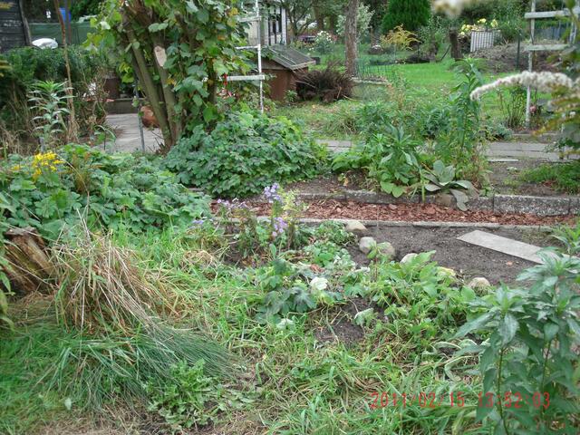 Mein-vorläufig- letzter Blick auf meine Wildgartenseite.hinten gut zu erkennen,wie toll der Rasen gewachsen ist !