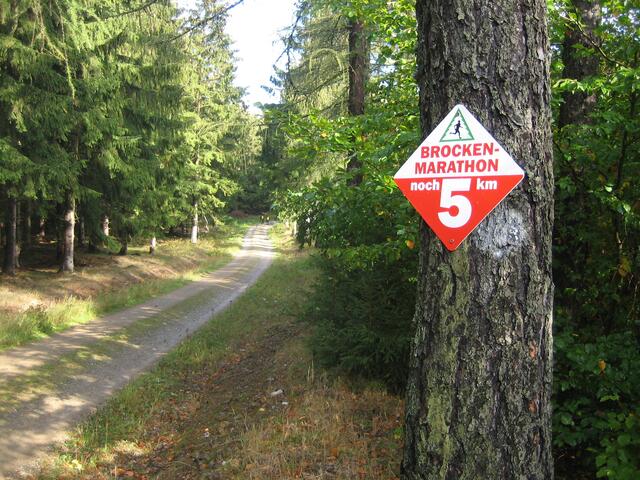 Für alle Strecken und alle Läufer, noch 5 km ins Ziel