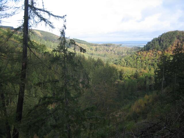 An der 11 km Strecke