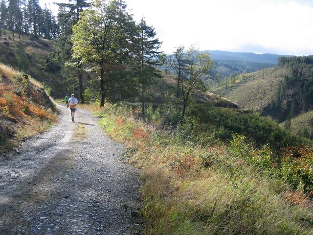 Ab hier geht es steil bergab ins Ziel, noch 3km