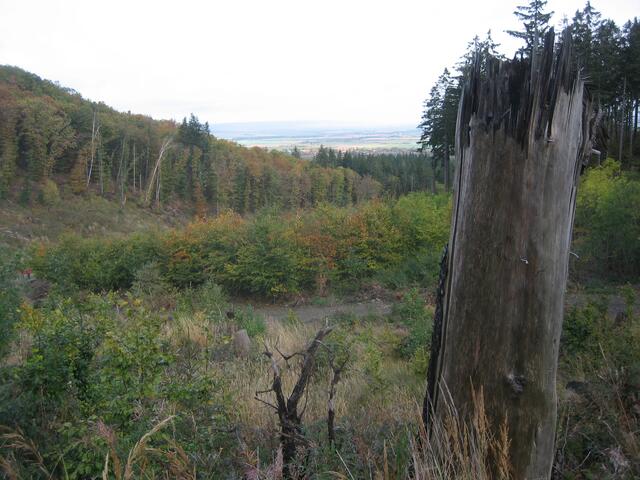 An der 11 km Strecke