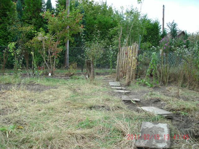 Exkantsteine- führen später durch den hoffentlich gut bewachsenen Wildgarten !