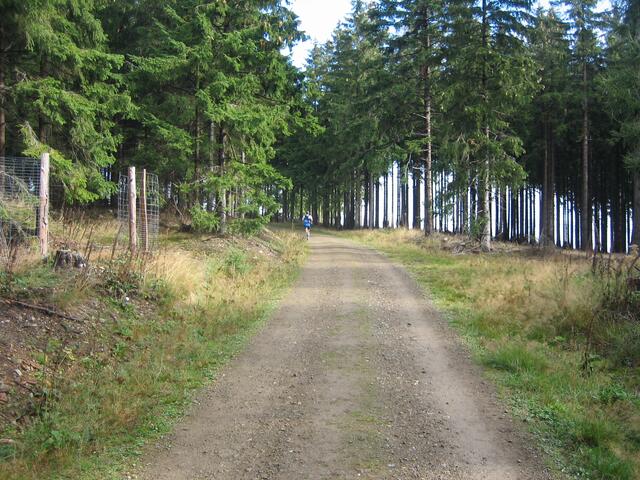 Einsam auf der Strecke, der spätere Sieger über 22 km. Gleich gehts bergab.