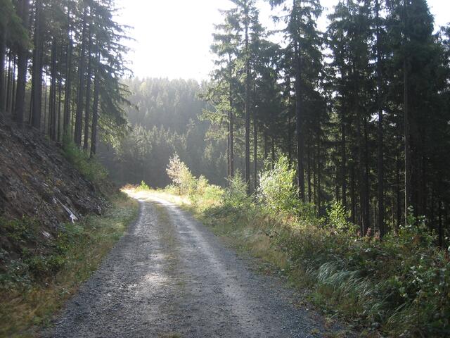 An der 11 km Strecke, fast oben angekommen