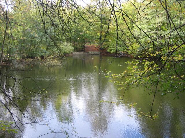 An der 11 km Strecke