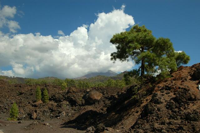 Vulkanlandschaft rund um den Pico de Teide