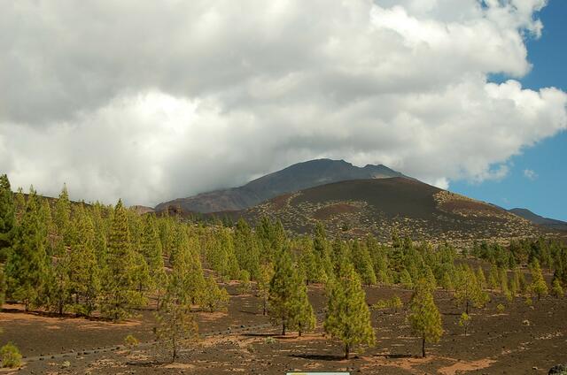 Vulkanlandschaft rund um den Pico de Teide