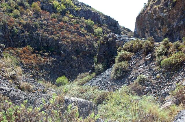 Alte Straße in der Schlucht Barranco de Ye (Taucho)