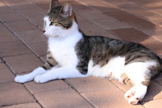 Zufrieden mit sich selbst ...