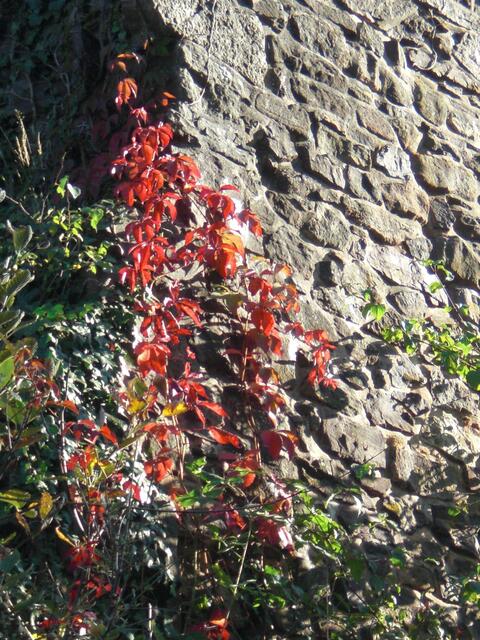 Es wird doch schon Herbst, trotz der 28 Grad.