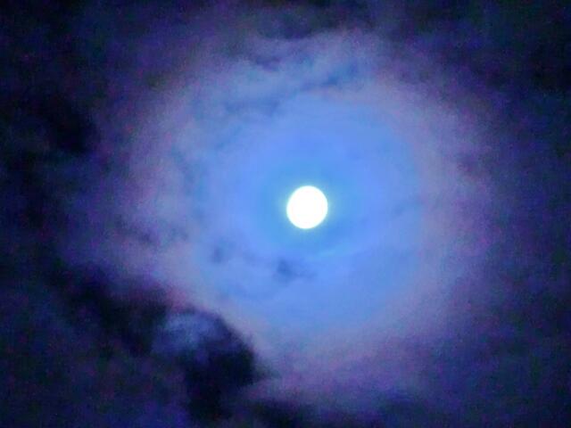 Mond