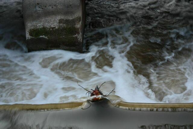 Kleinod an der Wasserkunst