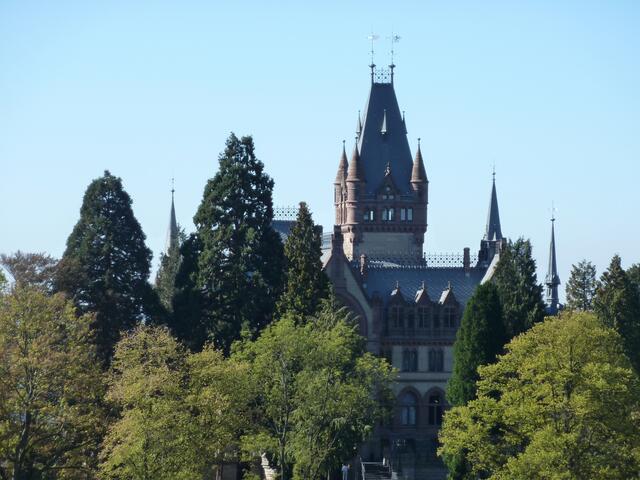 Baumwipfel und Türme der Drachenburg geben ein harmonisches Bild.