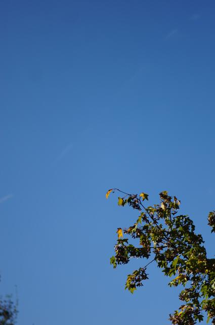 Monotonie ...der farbe Blau, oder einfach nur schönes Wetter?