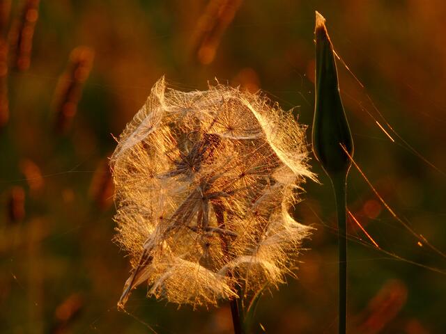 Das ist der Herbst!