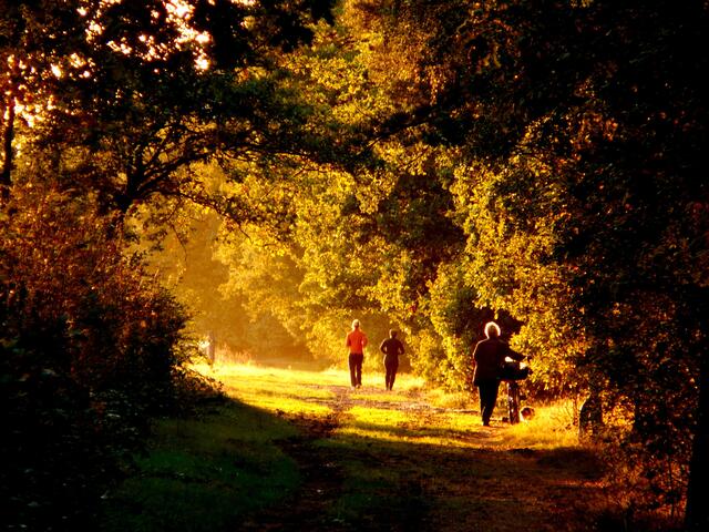 Mit dem Rad, dem Hund oder im schnellen Laufschritt verbringen viele Bürger Burgwedels diese schönen Abendstunden draußen in der herbstlichen Natur.