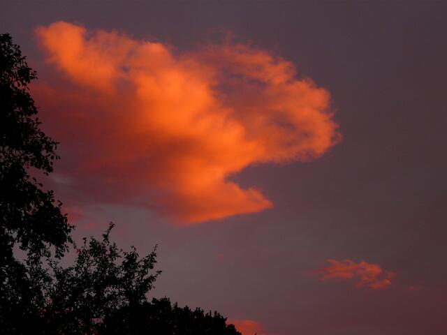 Ein Blick in den Himmel lässt uns ein wenig phantasieren. Die in der Abendsonne rot leuchtende Wolke könnte ein ... sein.