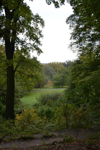 Ein gewundener Weg führt vom Turm zur Leine (©Katja Woidtke)