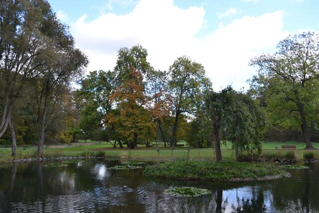 Teich mit Blumeninsel im Hinüberschen Garten (©Katja Woidtke)