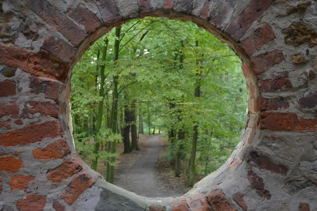 Blick vom Hexenturm in den Hinüberschen Garten (©Katja Woidtke)