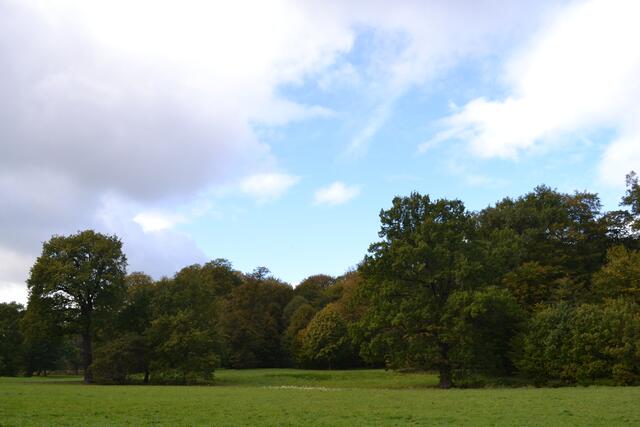 Hinüberscher Garten Hannover - Ein Hauch von Englands Gartenkunst (©Katja Woidtke)
