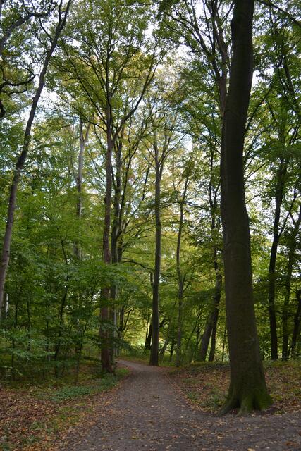 Auf dem Weg zum Druidenaltar im Hinüberschen Garten (©Katja Woidtke)