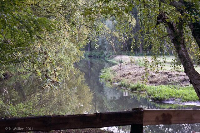Das Wasser der Fuhse treibt das Mühlrad an.
