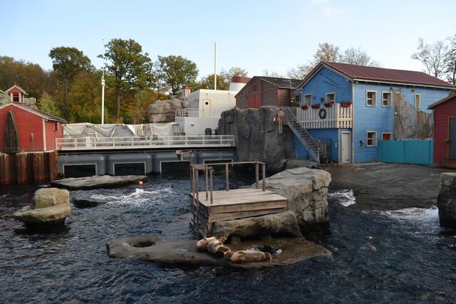 Robben-Anlage Yukon Bay (Foto: Katja Woidtke)