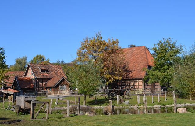 Ländliche Idylle auf Meyer's Hof (Foto: Katja Woidtke)