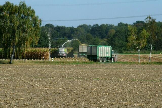 Ein eingespieltes Team bei der Arbeit ...
