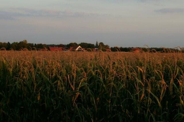 Einmal noch Abendsonne tanken ...