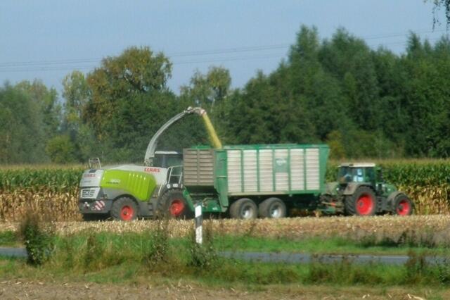 ... und innerhalb weniger Stunden ist der Acker fertig und der Mais gehäxelt ...