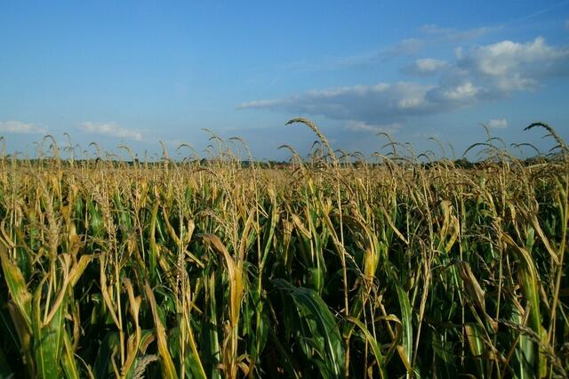 ... und nach dem "Aufstehen" naht schon das schwere Gerät ...