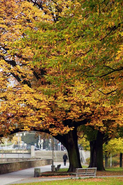 Am Hohen Ufer ist der Herbst angekommen