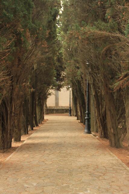 im Park