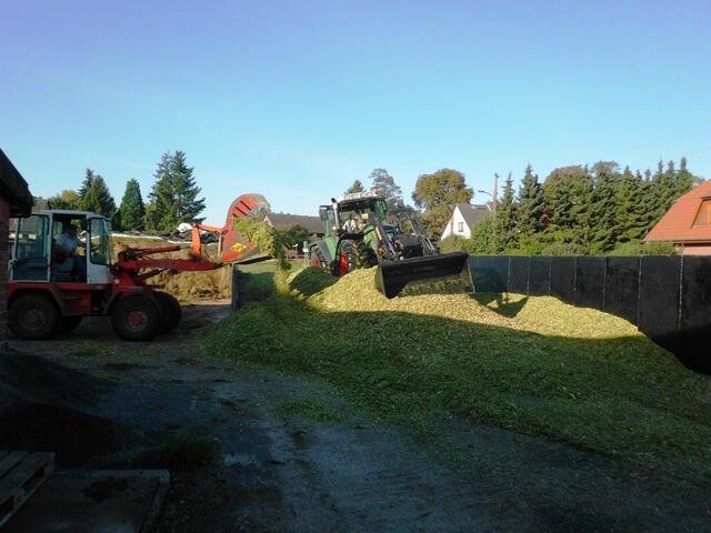 Die Silagemiete wird immer höher