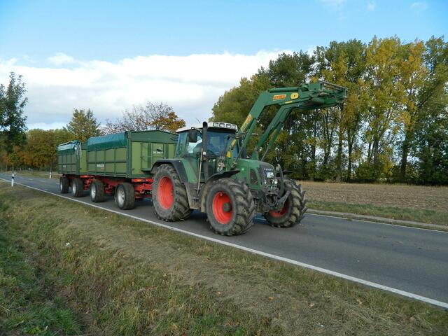Der Mais kommt in die eigene Trocknungsanlage