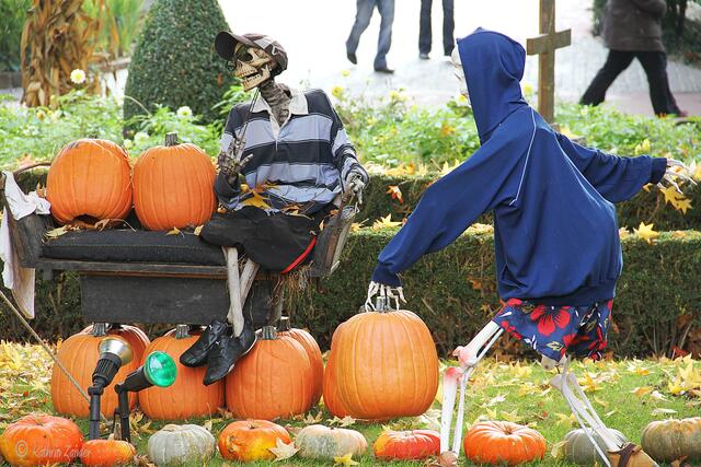 Ob der den Ball noch über das Netzt bekommt?