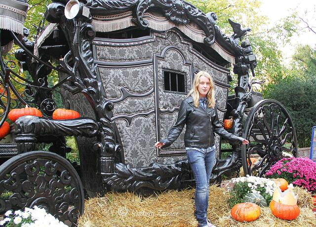 Dracula läßt grüßen